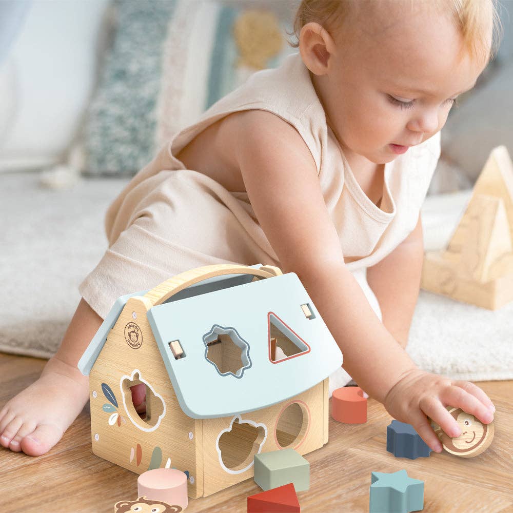 House Shape Sorter Set