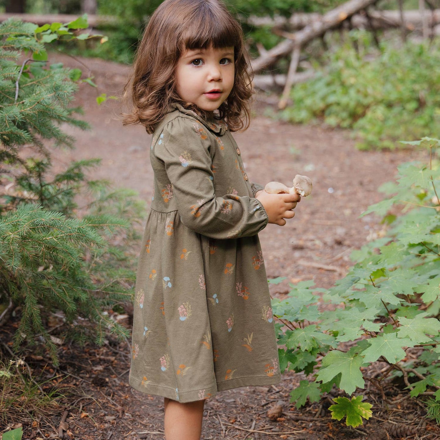 Frill Collar Dress- Lichen Mushrooms