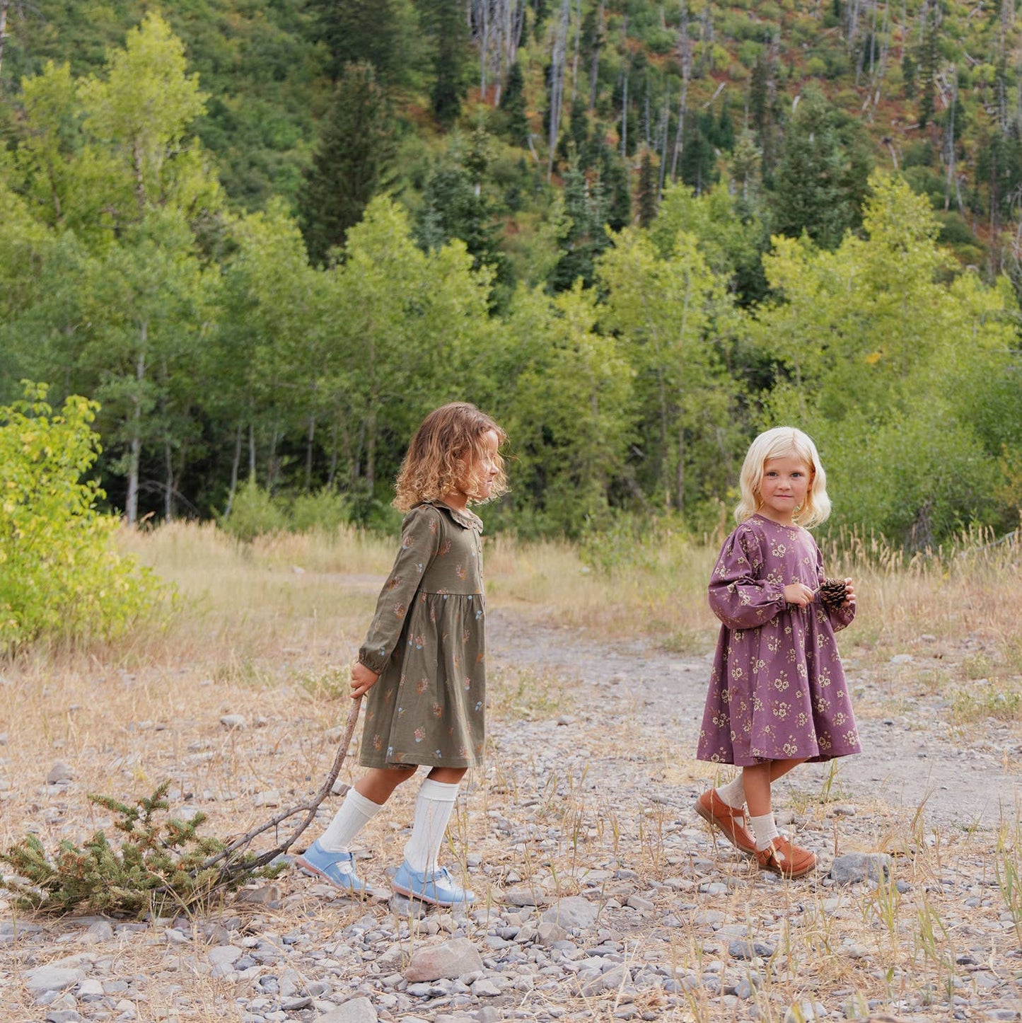 Frill Collar Dress- Lichen Mushrooms